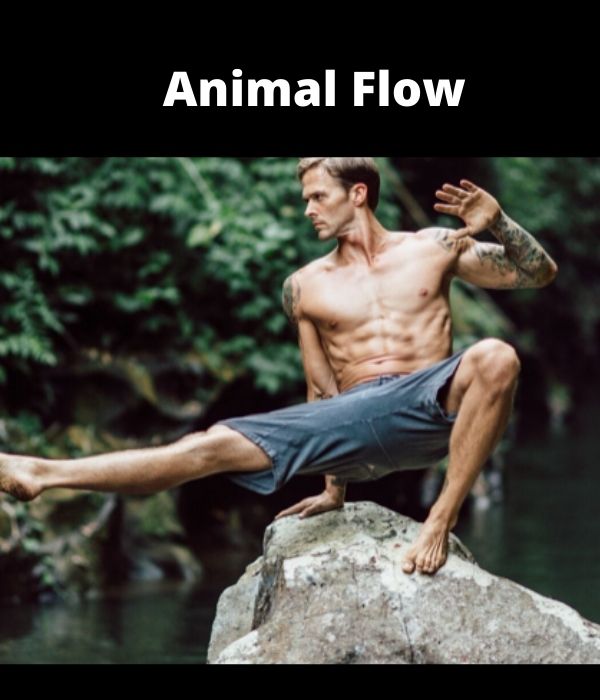 You are currently viewing Why now is the perfect time to learn Animal Flow?